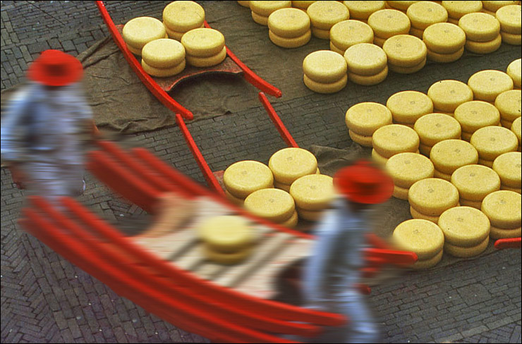 Gouda